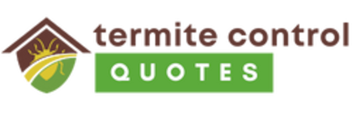 Underwater City Termite Removal Experts